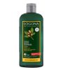 BIO šampón SHINE argánový olej, prírodná vlasová kozmetika, BIO kozmetika na vlasy, na suché a poškodené vlasy, sampon bez parabenov a silikonov
