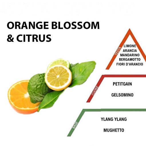 orange citrus parfem do prania
