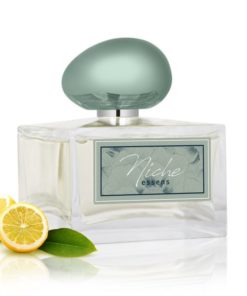 Parfem Niche DIVINE Green - unisex vôňa pre ženu i muža. Obsah 20 % vonných esencií (éterických olejov). Luxusný parfém, citrusovo - drevitý